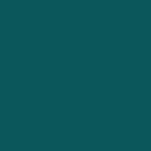 2055-20 Pacific Ocean Blue - Paint Color